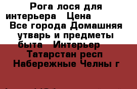 Рога лося для интерьера › Цена ­ 3 300 - Все города Домашняя утварь и предметы быта » Интерьер   . Татарстан респ.,Набережные Челны г.